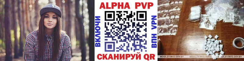 A PVP СК  Шлиссельбург 