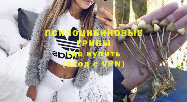 хмурый Куйбышев