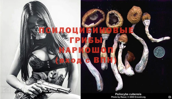 хмурый Куйбышев