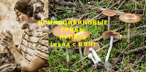 хмурый Куйбышев
