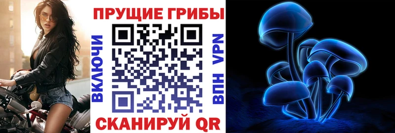 наркошоп  Шлиссельбург  Галлюциногенные грибы прущие грибы 